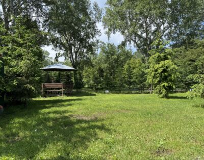 CAMPING PITCH 1